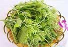 五(wǔ)指山野菜